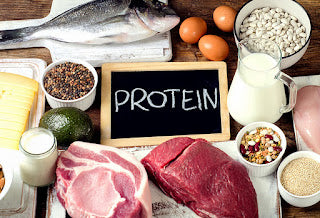 Protein Powder vs Protein Rich Foods