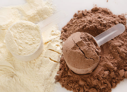 The Differences between Plant-Based and Whey-Based Proteins