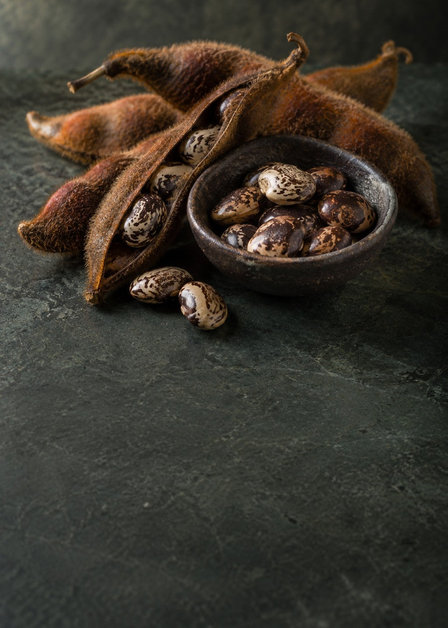 Mucuna pruriens Seed (15% extract)